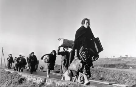Photograph titled 'Refugees walking on the road from Barcelona at the French border' by Robert Capa.